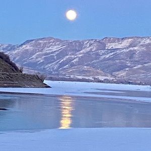 Meet your Posher, Alison